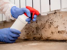 Reliable Kill Devil Hills, NC Mold Prevention & Removal  Solutions